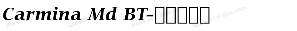 Carmina Md BT字体转换